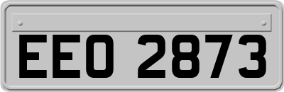 EEO2873
