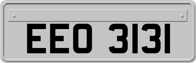 EEO3131