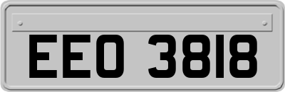 EEO3818