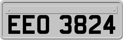EEO3824