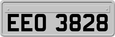 EEO3828