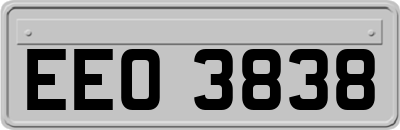 EEO3838