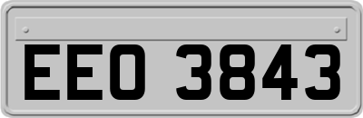 EEO3843