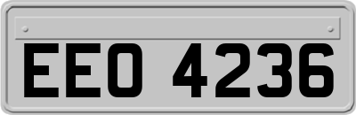 EEO4236