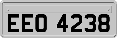 EEO4238