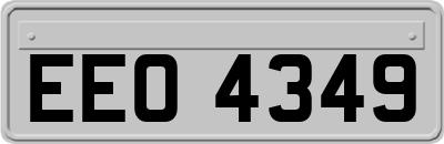 EEO4349