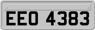 EEO4383