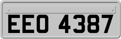 EEO4387