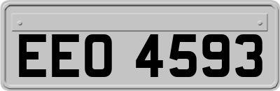 EEO4593
