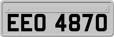 EEO4870