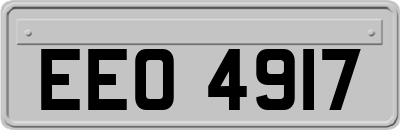 EEO4917
