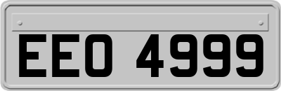 EEO4999