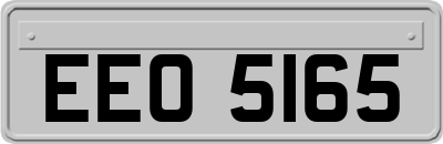 EEO5165