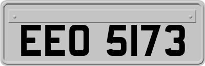 EEO5173