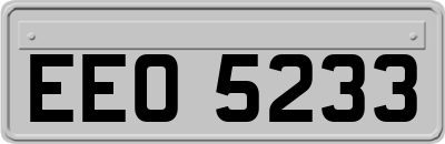 EEO5233