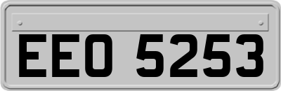 EEO5253