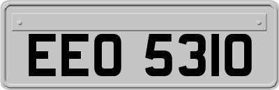 EEO5310