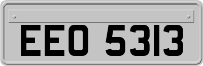 EEO5313