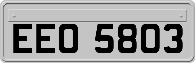 EEO5803