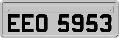 EEO5953