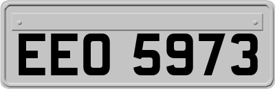 EEO5973
