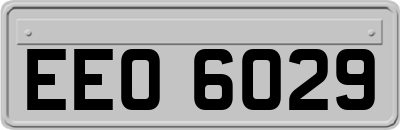 EEO6029