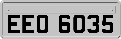 EEO6035