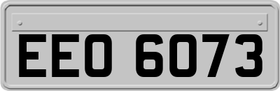 EEO6073