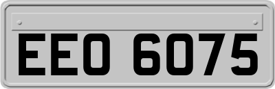 EEO6075