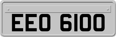 EEO6100