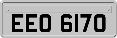 EEO6170