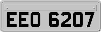 EEO6207