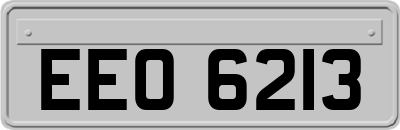 EEO6213