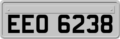 EEO6238