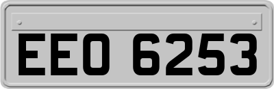 EEO6253