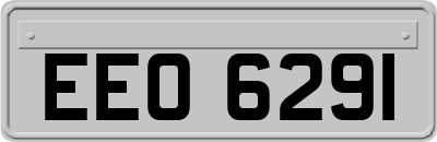 EEO6291