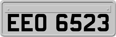 EEO6523