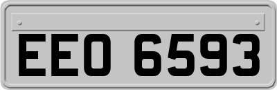 EEO6593