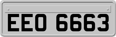 EEO6663