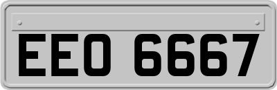 EEO6667