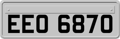 EEO6870