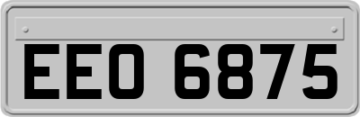 EEO6875
