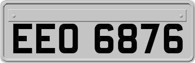 EEO6876