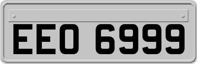 EEO6999