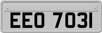 EEO7031