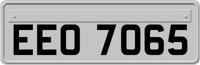 EEO7065