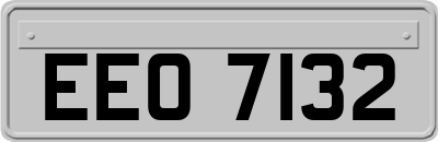 EEO7132