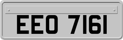 EEO7161