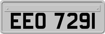 EEO7291