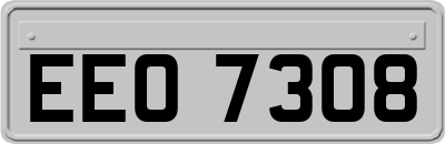 EEO7308